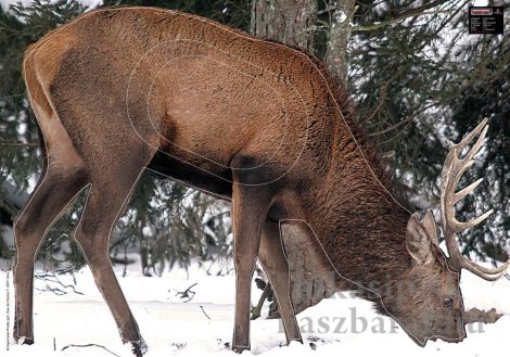 Lőlap, legelő szarvas IFAA